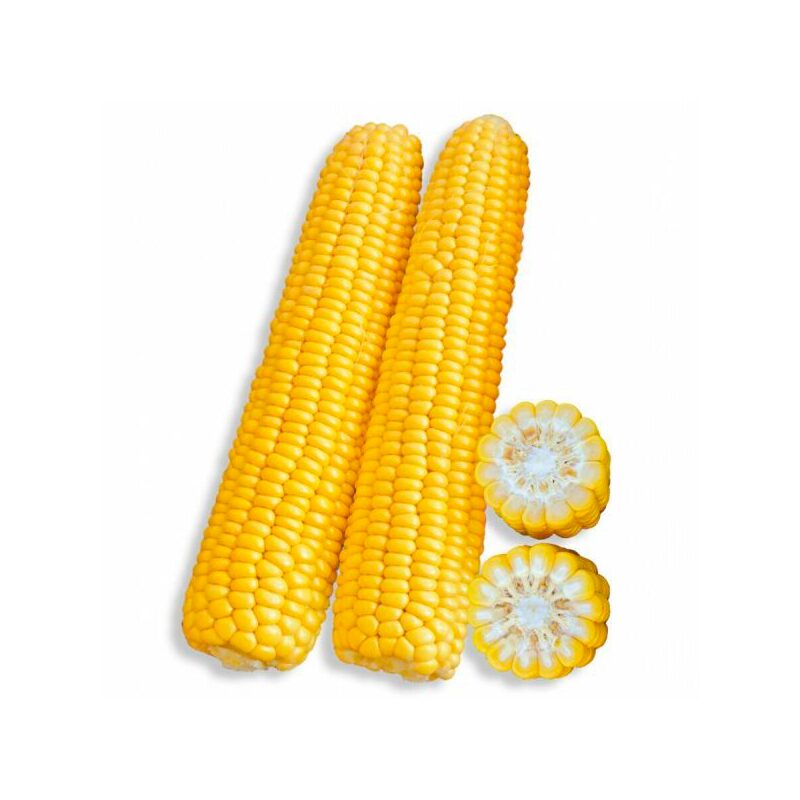 Кукурудза заморожена в качанах суперсолодка 2,5 кг