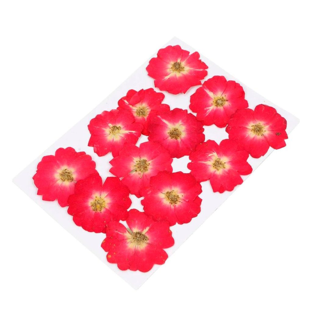 Квіти сублімовані Райське яблуко 4 см 100 шт