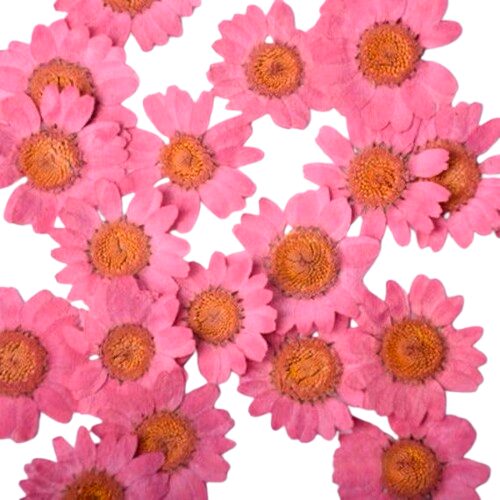 Квіти сублімовані Ромашка рожева, 20-30 мм, 100 шт